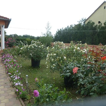 Liget Panzio Hotel Nyirbogdany Buitenkant foto