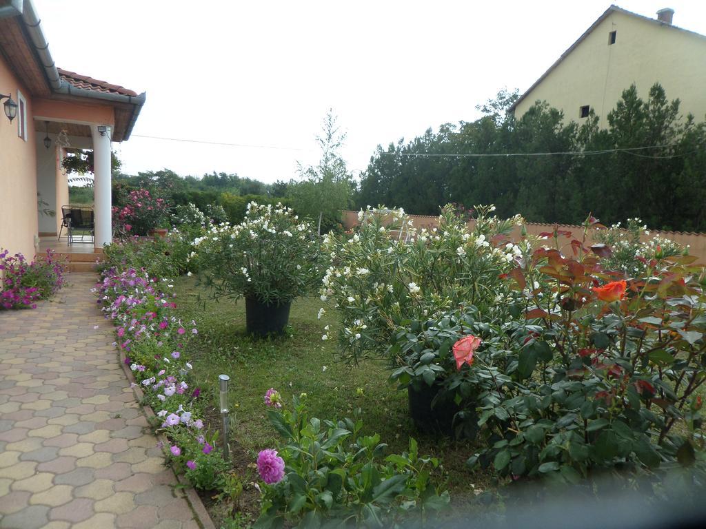 Liget Panzio Hotel Nyirbogdany Buitenkant foto