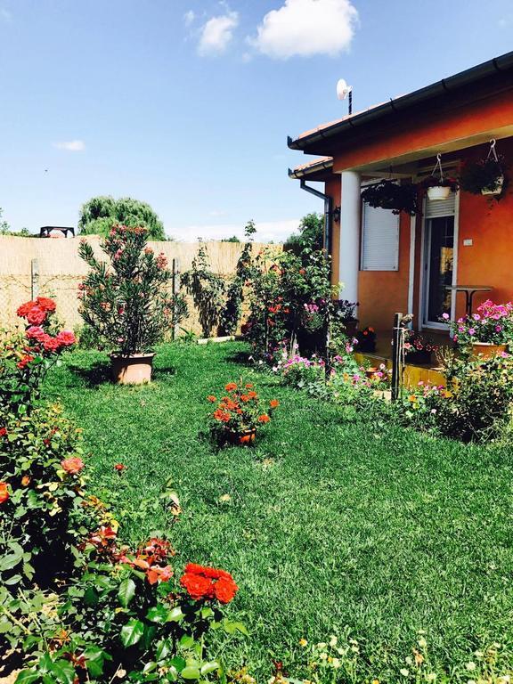 Liget Panzio Hotel Nyirbogdany Buitenkant foto